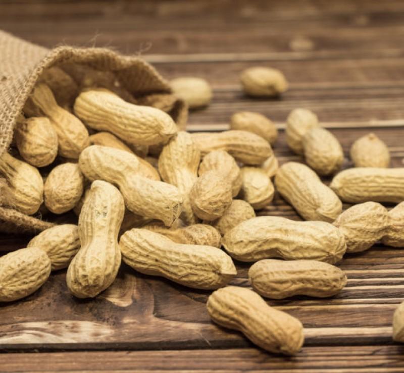 groundnut - Trade4go